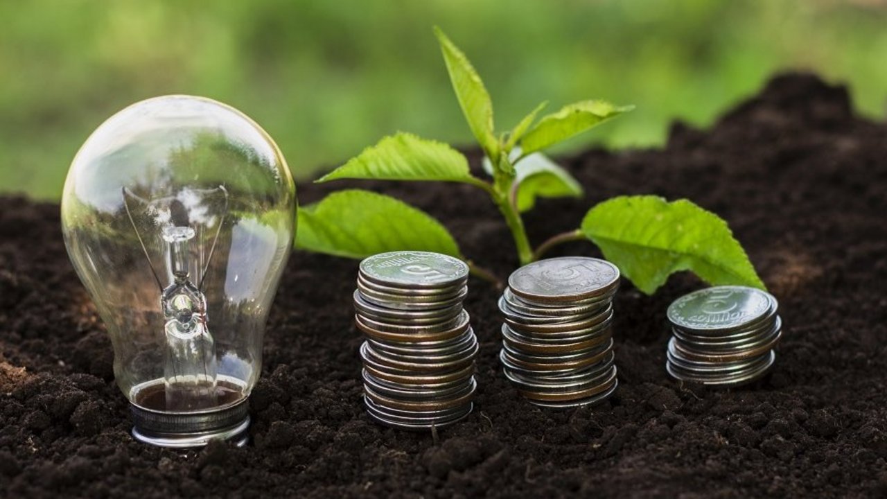 Symbolbild für eine Förderung im Bereich Nachhaltigkeit