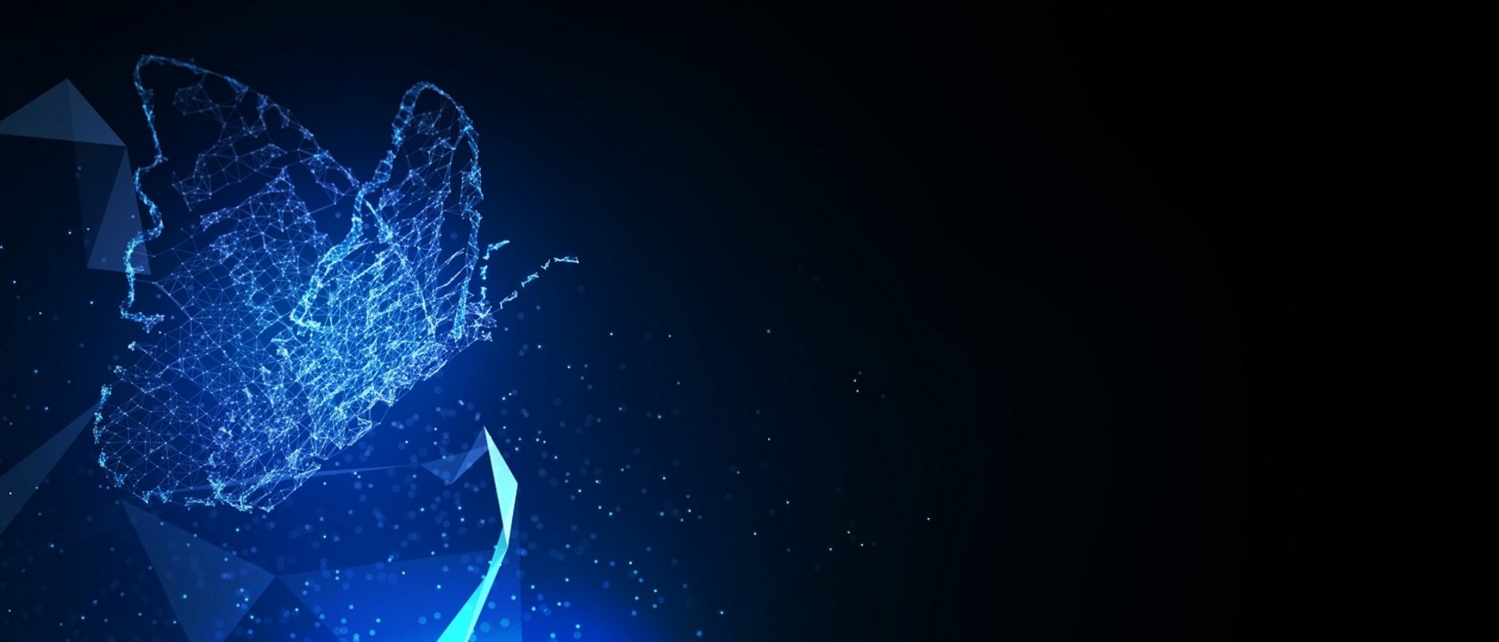 Symbolbild Transformation in Form eines digitalen Schmetterlings